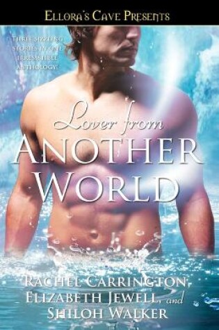 Cover of Lover from Another World