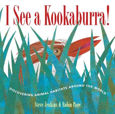 Book cover for I See a Kookaburra!