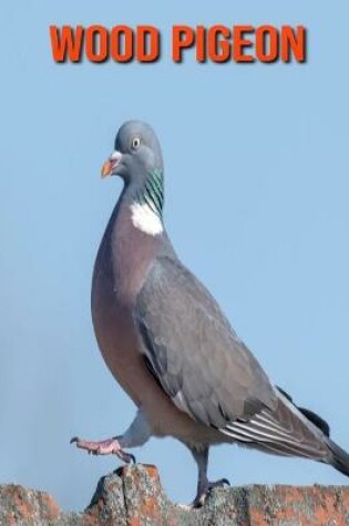 Cover of Wood Pigeon