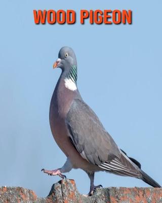 Book cover for Wood Pigeon