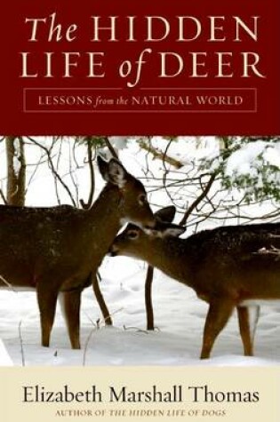 Cover of The Hidden Life of Deer