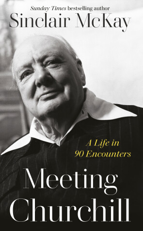 Book cover for Meeting Churchill