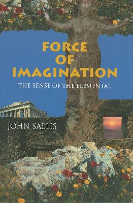 Book cover for Force of Imagination