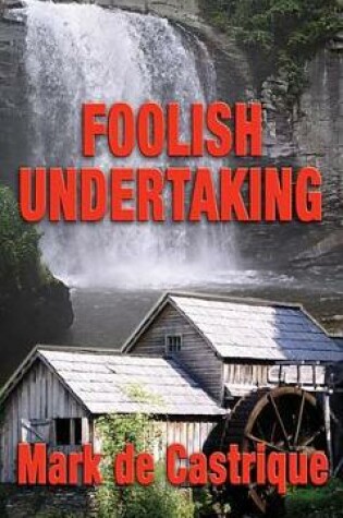 Cover of Foolish Undertaking