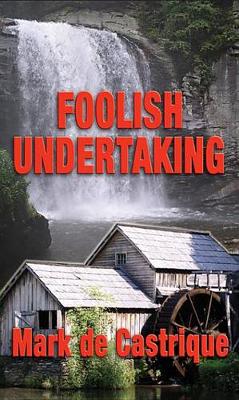 Book cover for Foolish Undertaking