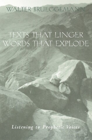 Cover of Texts That Linger, Words That Explode
