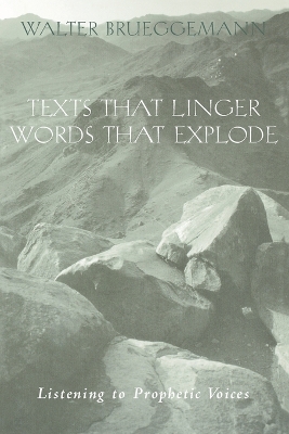 Book cover for Texts That Linger, Words That Explode