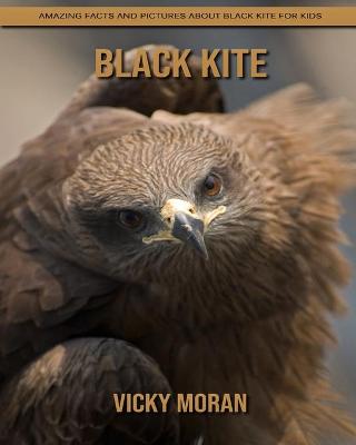 Book cover for Black Kite