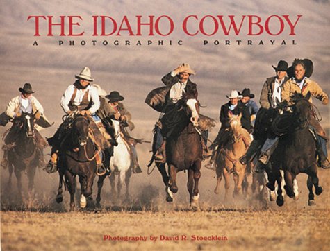 Book cover for The Idaho Cowboy