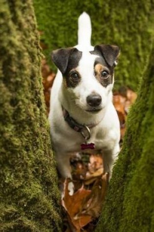 Cover of Jack Russell Terrier in the Woods Journal