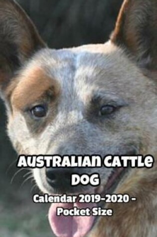 Cover of Australian Cattle Dog Calendar 2019-2020 - Pocket Size