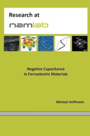 Cover of Negative Capacitance in Ferroelectric Materials