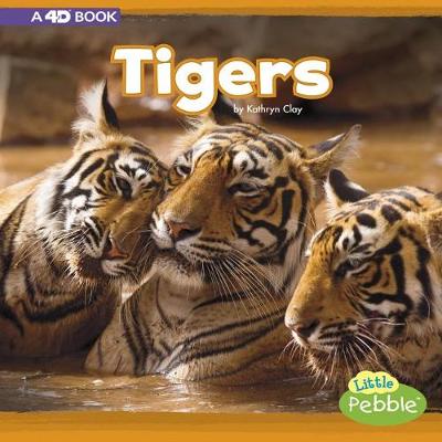 Book cover for Tigers: A 4D Book