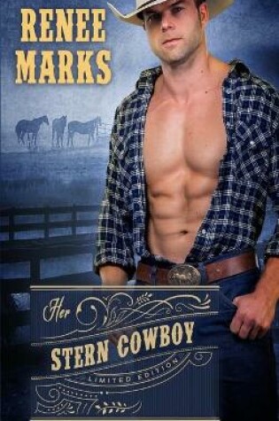 Cover of Her Stern Cowboy