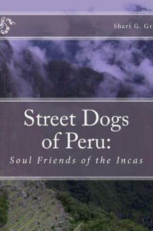 Cover of Soul Friends of the Incas