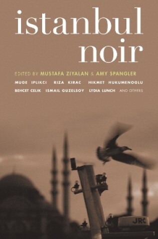 Cover of Istanbul Noir