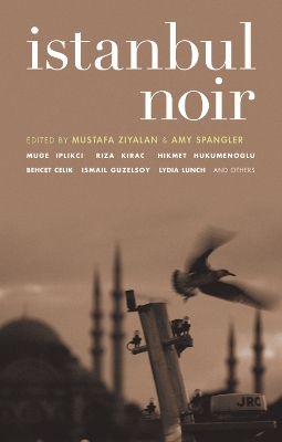 Book cover for Istanbul Noir