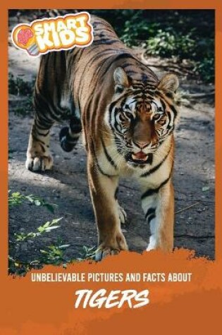 Cover of Unbelievable Pictures and Facts About Tigers