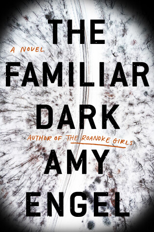 Cover of The Familiar Dark