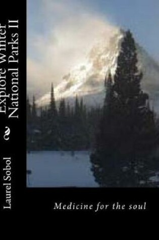 Cover of Explore Winter National Parks II