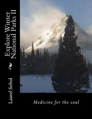 Cover of Explore Winter National Parks II