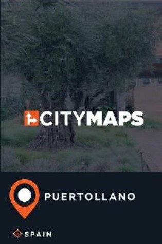 Cover of City Maps Puertollano Spain