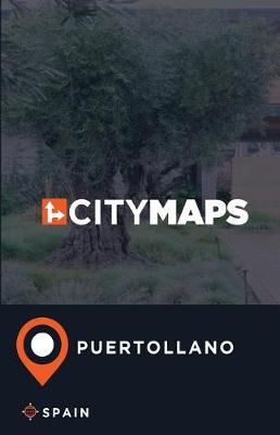 Book cover for City Maps Puertollano Spain