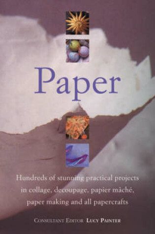 Cover of Paper Perfect