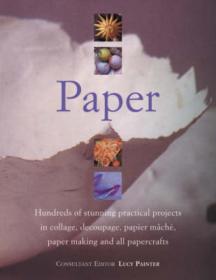 Book cover for Paper Perfect