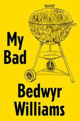 Cover of Bedwyr Williams