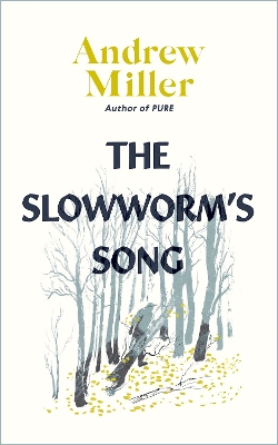 Book cover for The Slowworm's Song