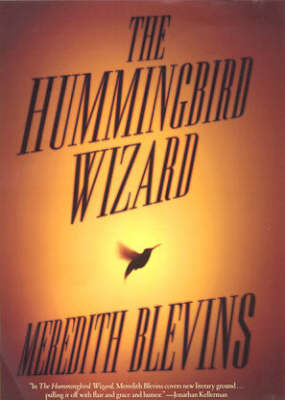 Book cover for The Hummingbird Wizard