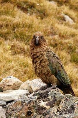 Book cover for Kea the New Zealand Parrot Journal