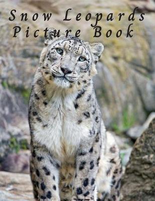 Book cover for Snow Leopards Picture Book