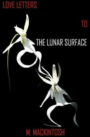 Cover of Love Letters to the Lunar Surface