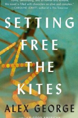 Cover of Setting Free the Kites