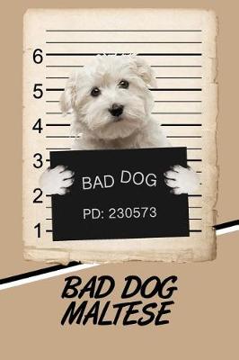 Book cover for Bad Dog Maltese