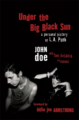 Book cover for Under the Big Black Sun