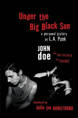 Book cover for Under the Big Black Sun