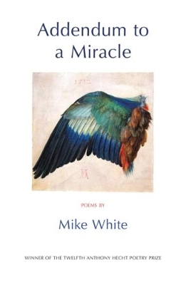 Book cover for Addendum to a Miracle