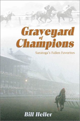 Book cover for Graveyard of Champions