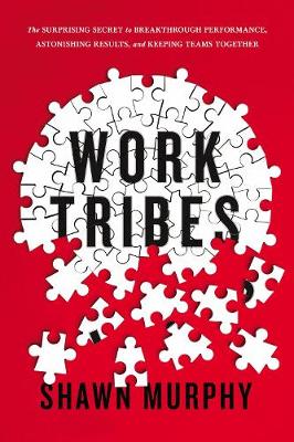 Book cover for Work Tribes