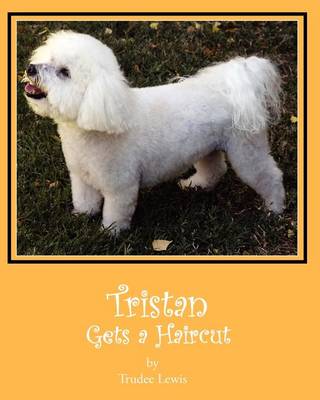 Book cover for Tristan Gets a Haircut