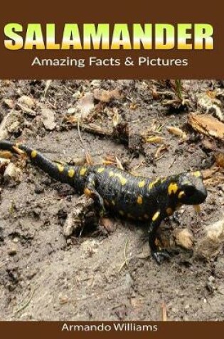 Cover of Salamander