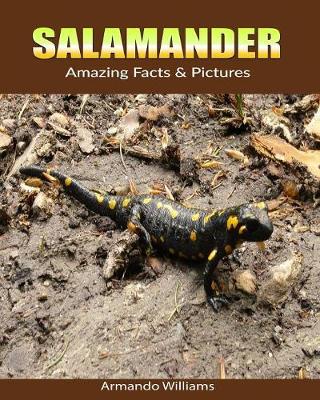 Book cover for Salamander