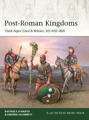 Cover of Post-Roman Kingdoms