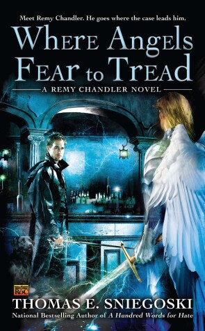Book cover for Where Angels Fear To Tread
