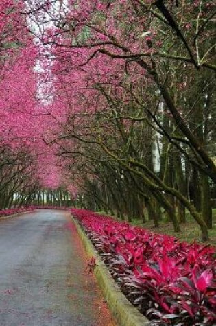 Cover of Cherry Blossom Road