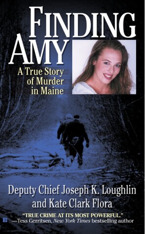 Book cover for Finding Amy