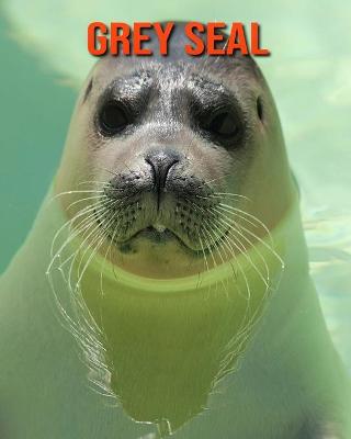 Book cover for Grey Seal